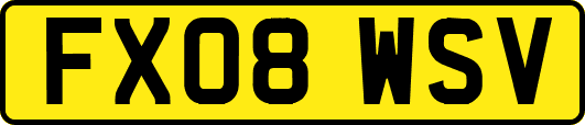 FX08WSV