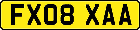 FX08XAA