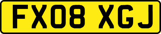 FX08XGJ