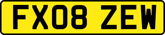 FX08ZEW
