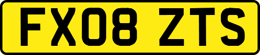 FX08ZTS