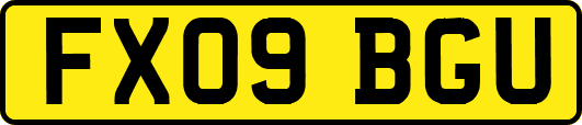 FX09BGU