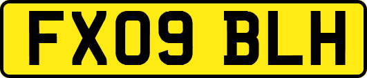 FX09BLH