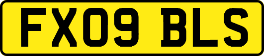 FX09BLS