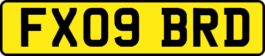 FX09BRD