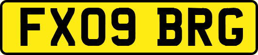 FX09BRG
