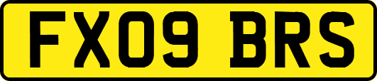 FX09BRS