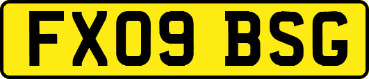 FX09BSG