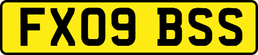FX09BSS