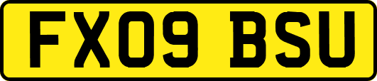 FX09BSU