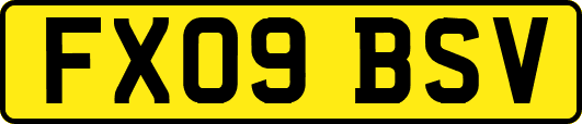 FX09BSV