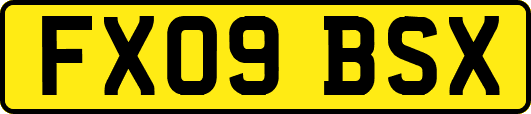 FX09BSX