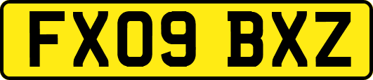 FX09BXZ