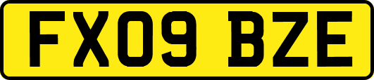 FX09BZE