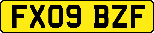 FX09BZF