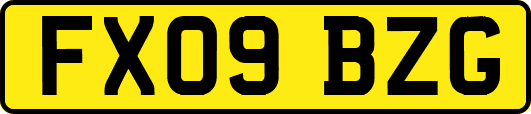 FX09BZG