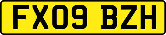 FX09BZH