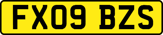 FX09BZS
