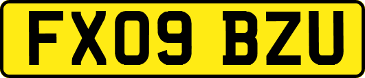 FX09BZU