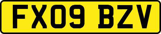 FX09BZV