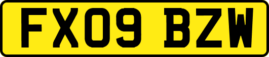 FX09BZW