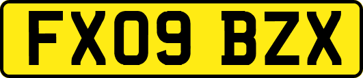 FX09BZX