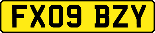 FX09BZY
