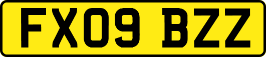 FX09BZZ