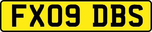 FX09DBS