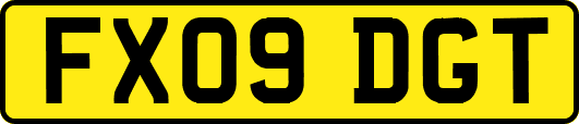 FX09DGT
