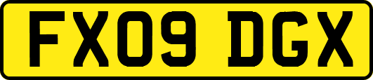 FX09DGX