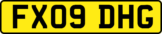 FX09DHG