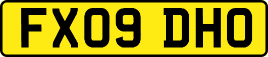FX09DHO