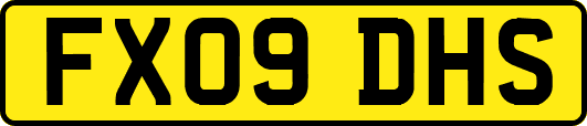 FX09DHS