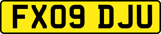 FX09DJU
