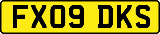FX09DKS