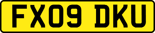 FX09DKU