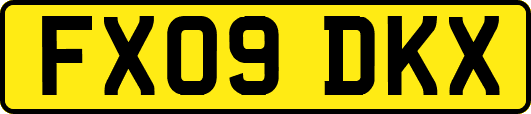 FX09DKX