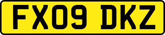FX09DKZ