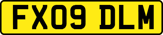 FX09DLM