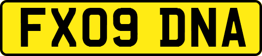 FX09DNA