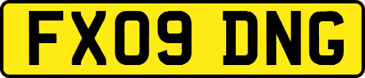 FX09DNG
