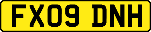 FX09DNH