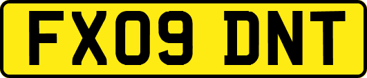 FX09DNT