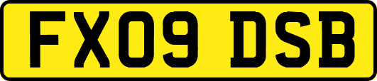 FX09DSB