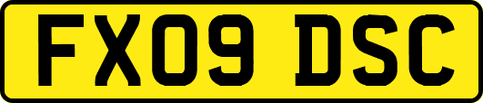 FX09DSC