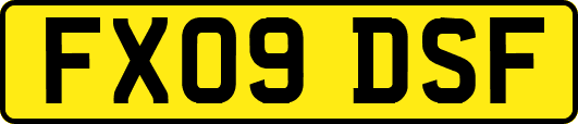 FX09DSF