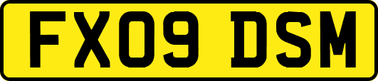 FX09DSM