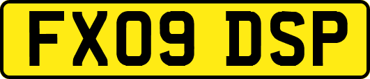 FX09DSP