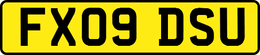 FX09DSU